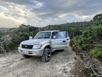 Wycieczka fakultatywna, Z Pafos do wąwozu Avakas Kanyon [33]