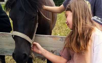 Obóz młodzieżowy, Wiele - Obóz konny Junior OKW Beaver, 10 dni 10-14 lat